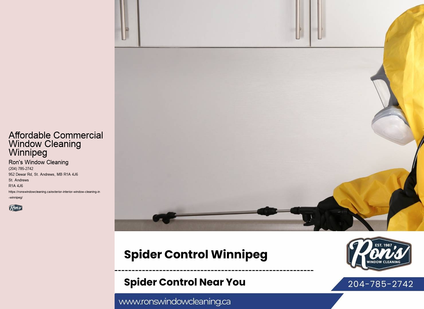 Exterior Window Washers Affordable Commercial Window Cleaning Winnipeg