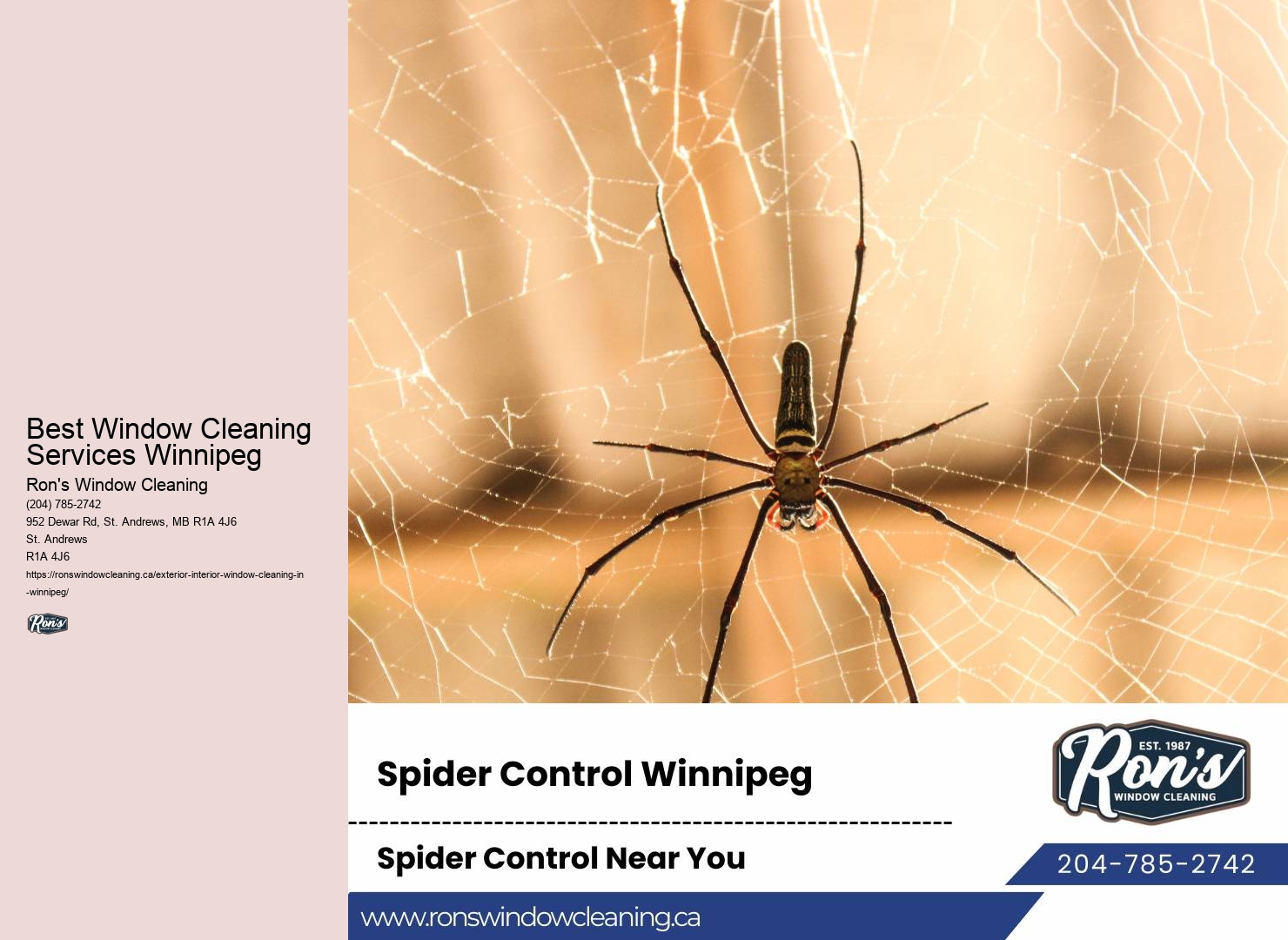Same Day Window Cleaning Best Window Cleaning Services Winnipeg