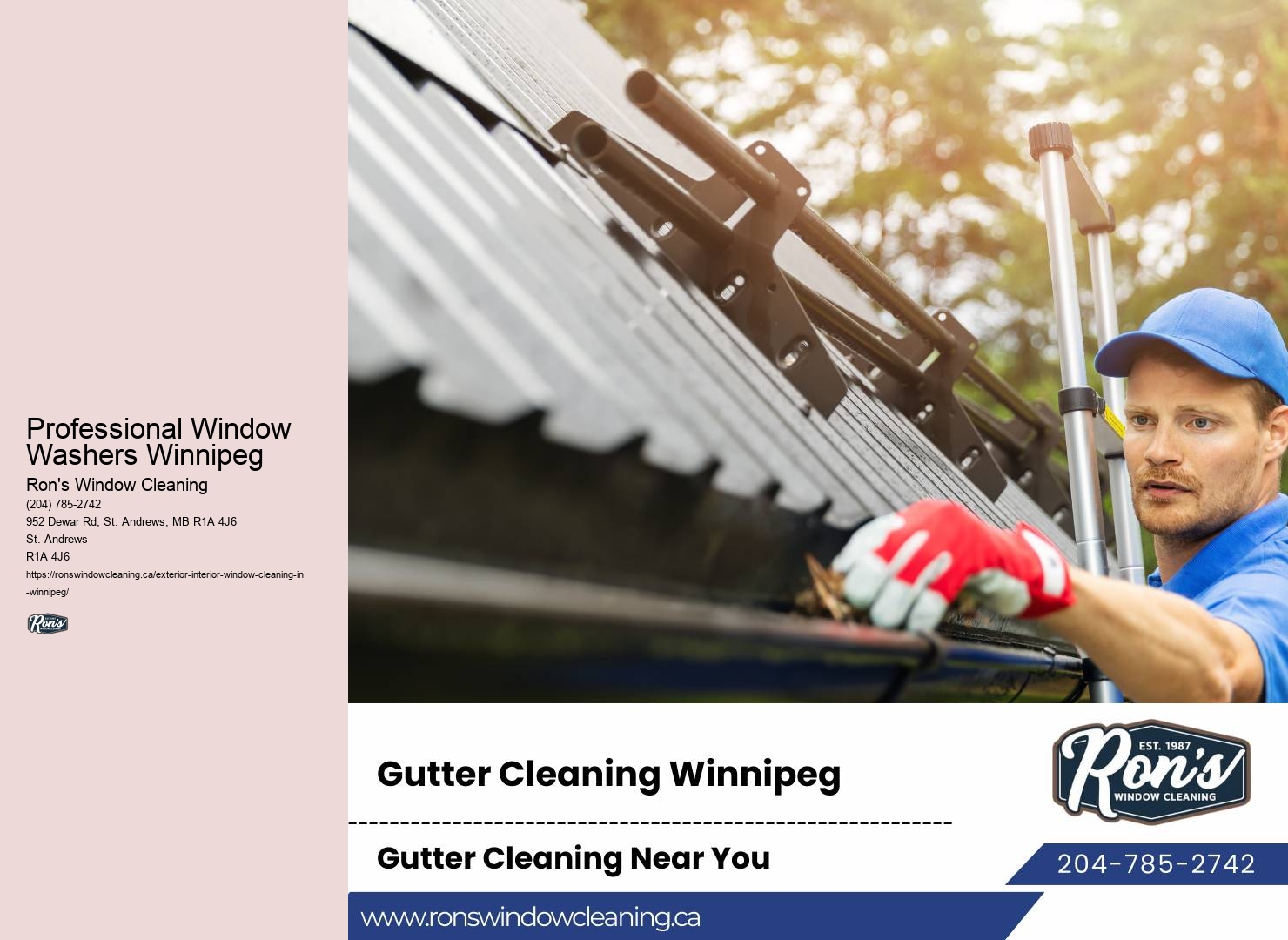 Professional Window Washers Professional Window Washers Winnipeg