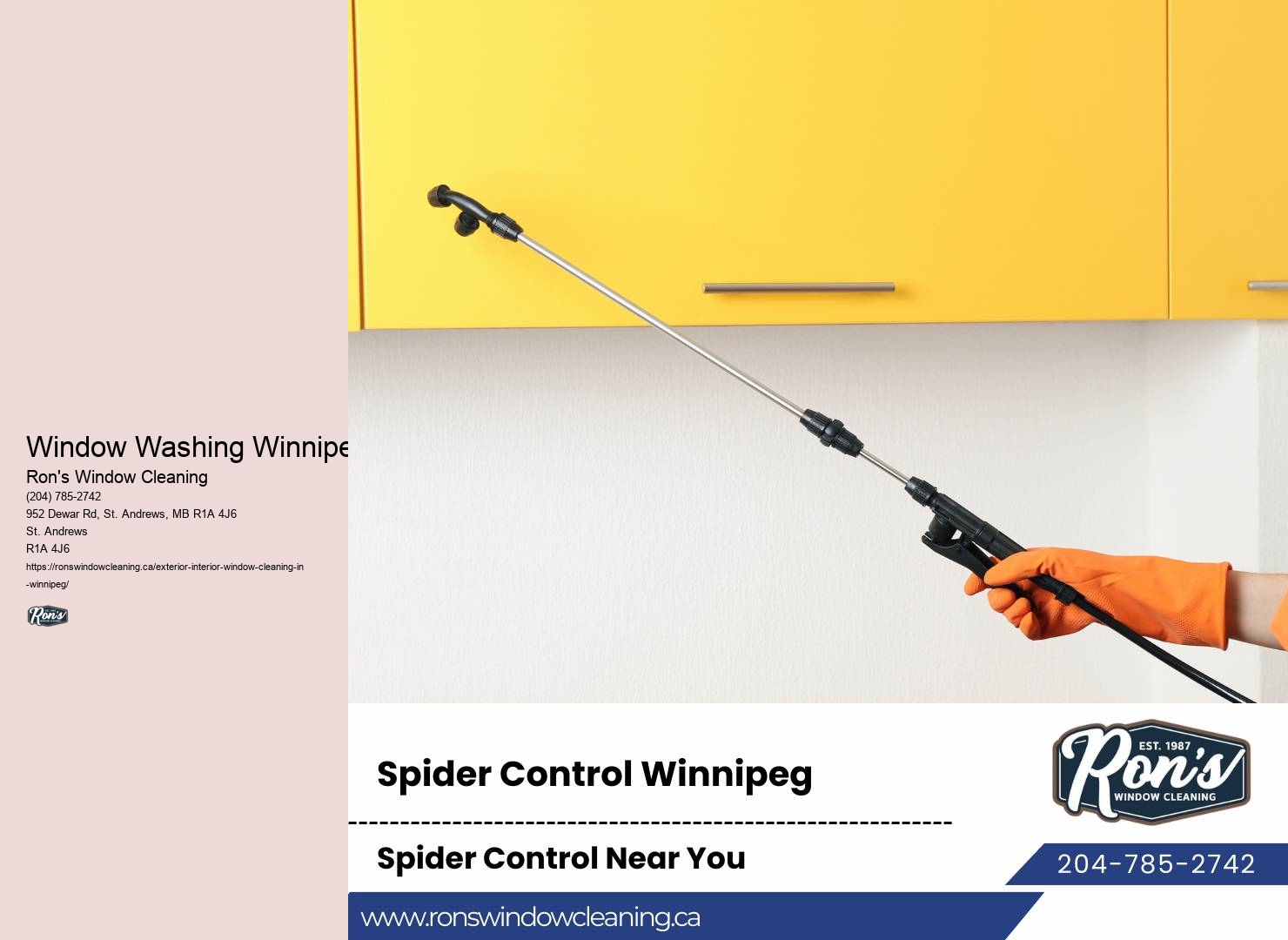 Window Washing Specials Window Washing Winnipeg