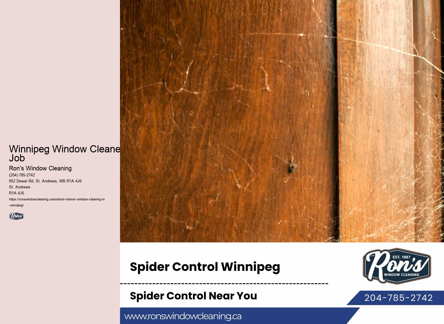Affordable Window Cleaning Companies Winnipeg Window Cleaner Job