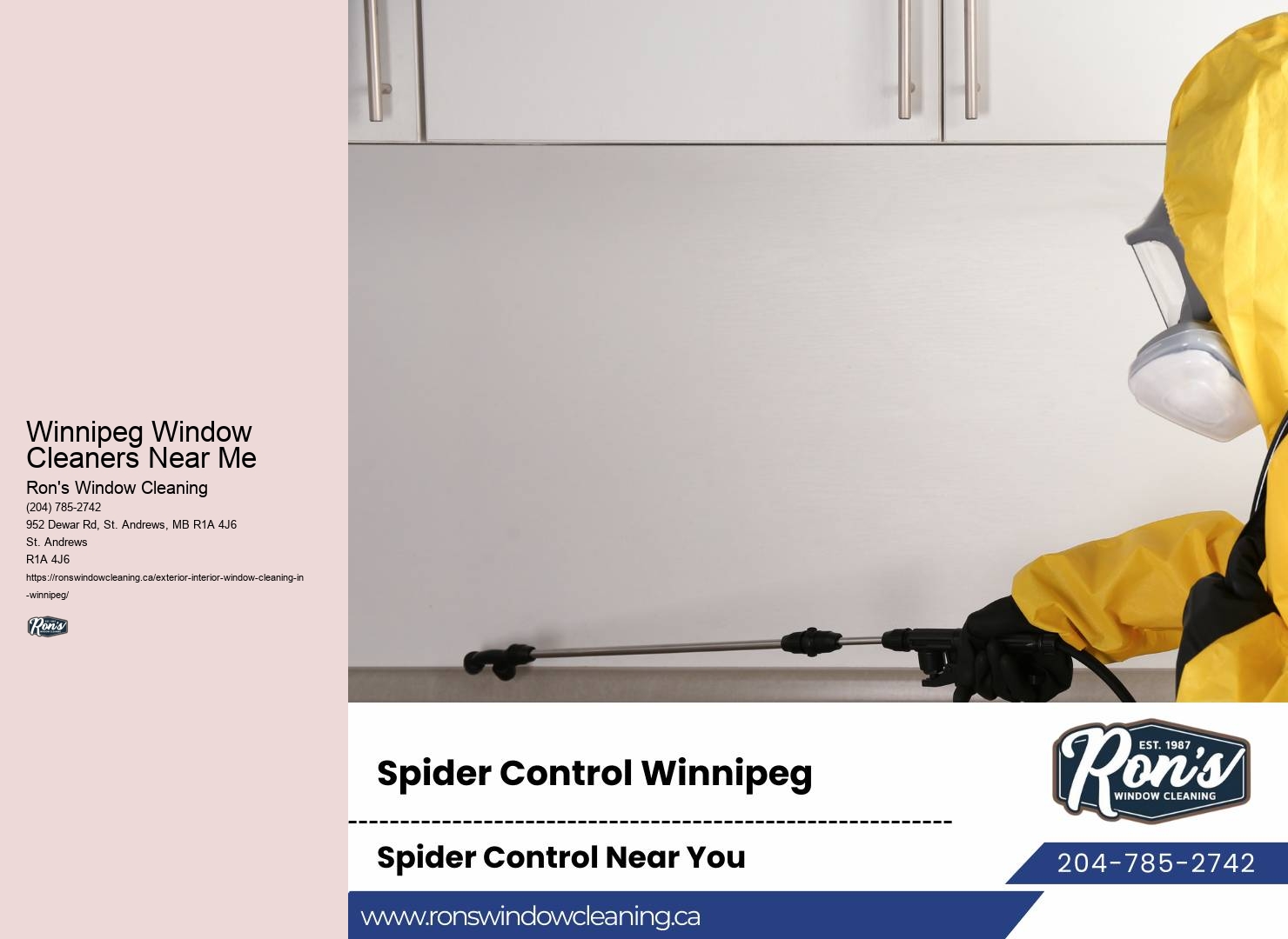 Local Window Cleaning Experts Winnipeg Window Cleaners Near Me